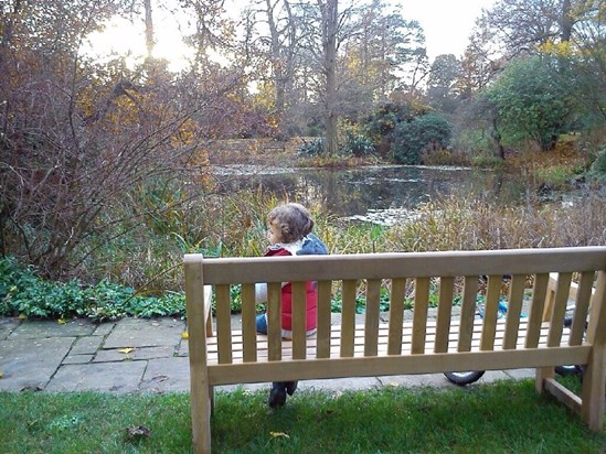 Little Andrew visited  your bench at Kew Gardens