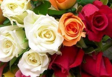 beautiful roses- to Maxine. R.I.P.