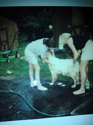 micki sam washing the dog