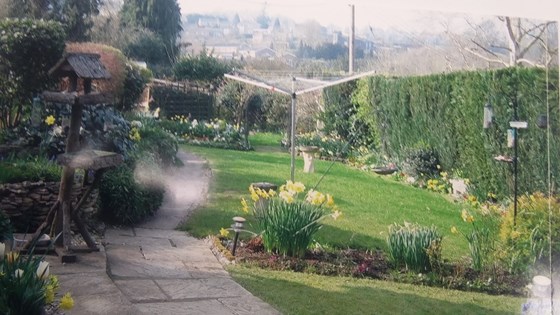 View of Dad's garden from the house