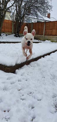Running for another snow ball