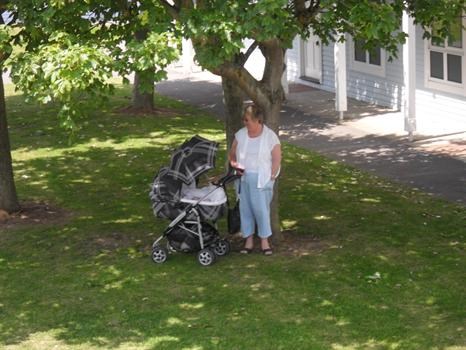 In the shade with one of her 'babies' x