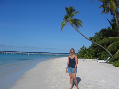 Our honeymoon in the Maldives October 2006. Wend called this 'her tree'.