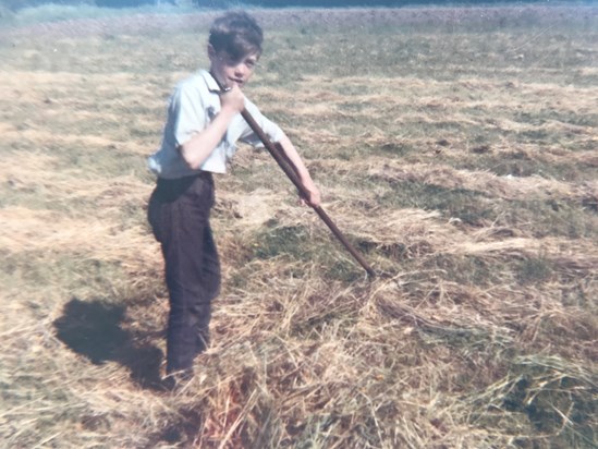 turning the hay