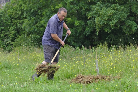 Woodland work