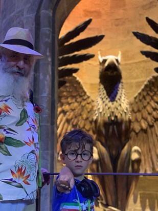 Dumbledore and Harry