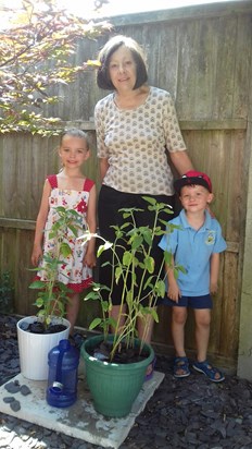 Mum helped them plant their sunflowers 