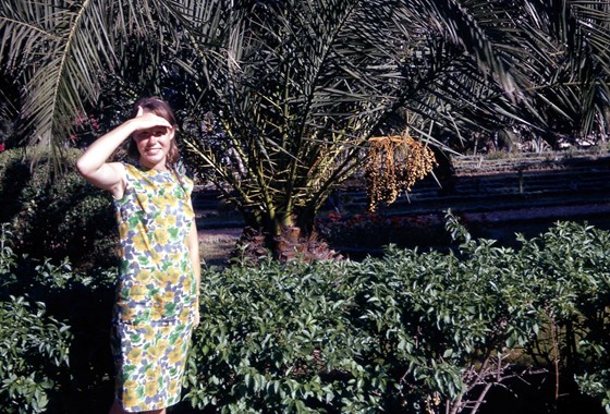 Bahai Garden Haifa 1966