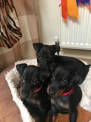 Chi and his siblings