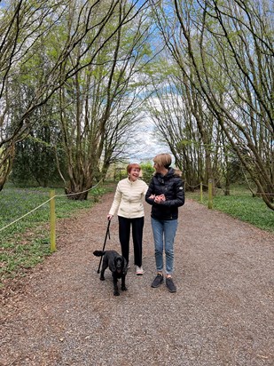 Bluebell walks