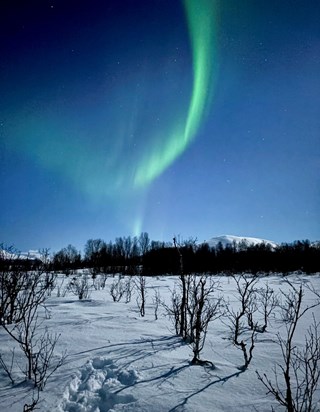 The aurora danced for you mum. Now you’ll always see them dancing above you xx 