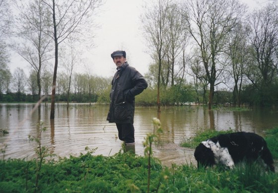 Martin and Whisky in the flood water at Newton river
