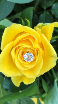A yellow rose with a clear gemstone for a very special woman xxxxxx