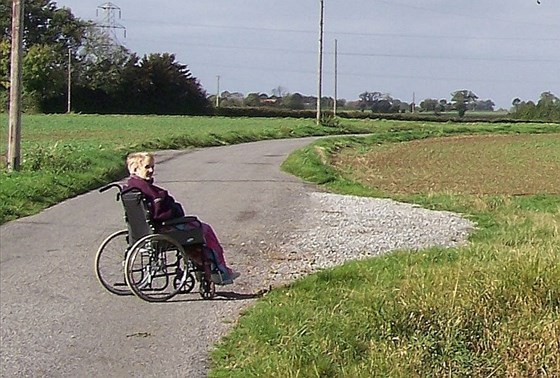 My little bird newton was out enjoying the countryside 