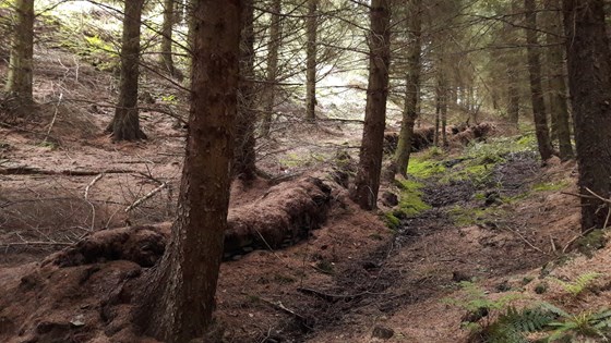 Nant Yr Hafod to Llandegla