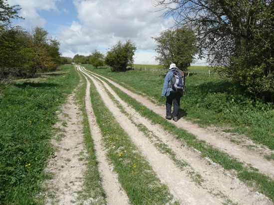 Well trodden chalk track