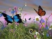 Butterflies are a sign that the people we love are watching over us...
