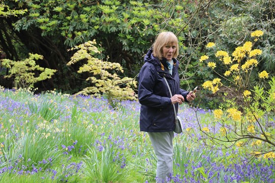 Jill in her element amongst the plants and flowers at Riverhill Himalayan Gardens - 2017