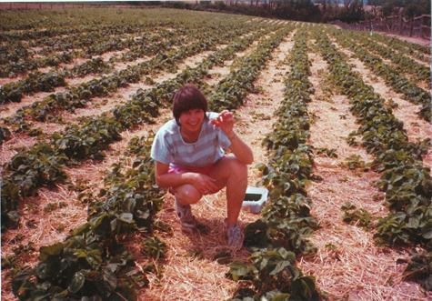 Strawberry Picking, 1984.  One of my favourite photos of Alason