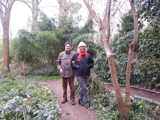 A walk through Cheslyn Gardens. Watford, 2016. 