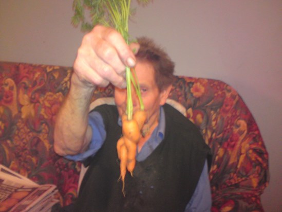 wot a carrott eh!