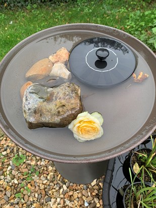 A rose from John's wreath stays in the bird bath after it has gone to the churchyard