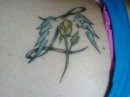 Rose's memorial tattoo, An angel forever on my shoulder