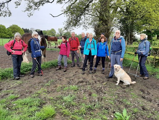 Diana's last week with Wilmslow Guild Walking Group on 3rd May, 2022, near Alderley Edge.  Sent by Angela