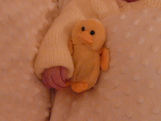 Chirpy, a present from Big Sister Faye