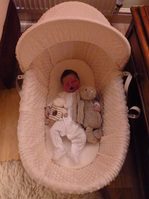 Baby girl in her moses basket