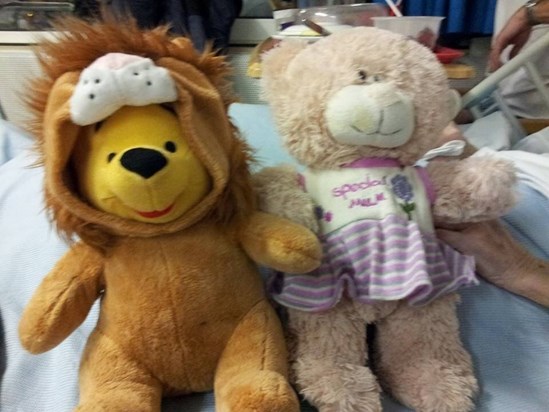 Nan's favourite teddies that went everywhere with her. The special mum bearis with her now.