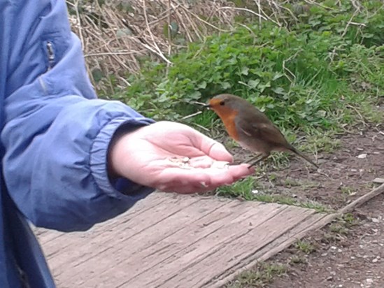 A bird in the hand......
