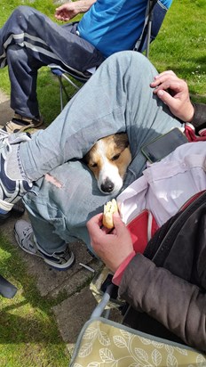 Johnny with his beloved biscuit (summer 2015)