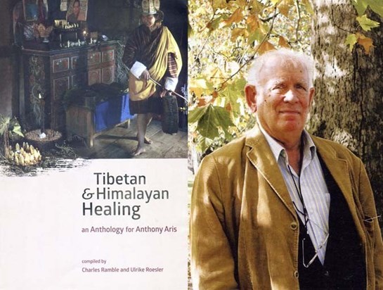 Tibetan and Himalayan Healing: An Anthology for Anthony Aris