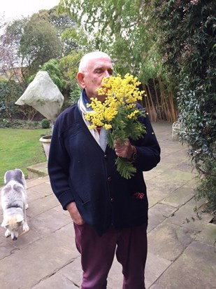 Anthony with mimosa