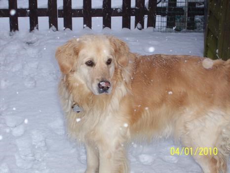 cracker in snow 