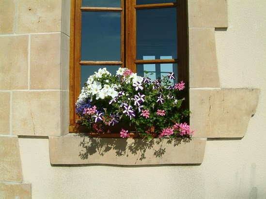 Window to France