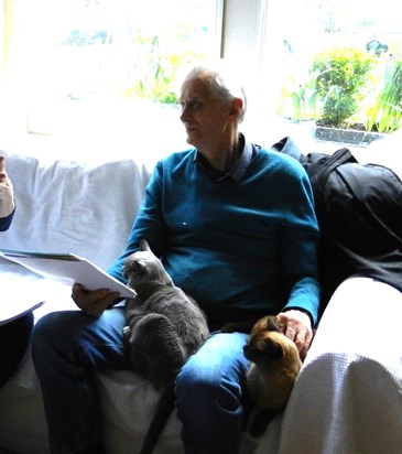 John in French lesson with cats Mombi and Mini