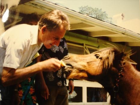 Feeding the pony.