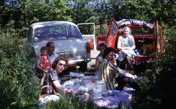 Early 1960's picnic