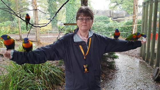 On safari at longleat 