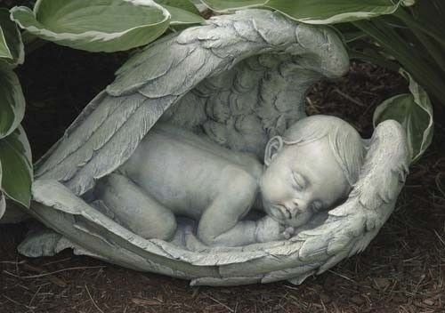 baby laying in angel wings