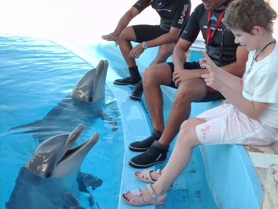 swimming with dolphins, Malta.  Thanks to Make a Wish