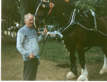 Grandad With A Parade Horse
