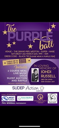 Official poster for The Purple Ball 2019