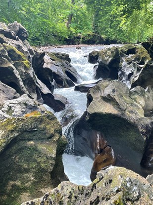 Scattering at Ellie’s waterfall + rope swing