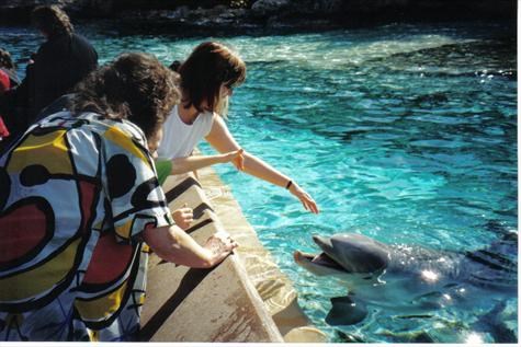 Lou and dolphins, Florida 2001