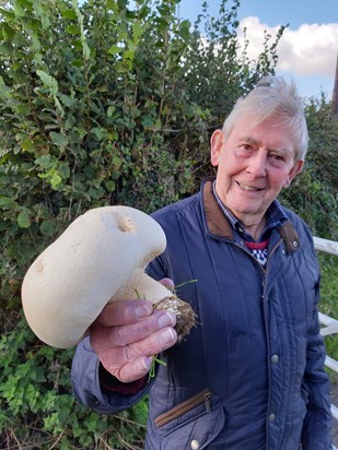 Found this monster with dad near Maes y Bryn