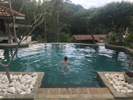 Infinity pool with the monkeys, Marissa, Sri Lanka