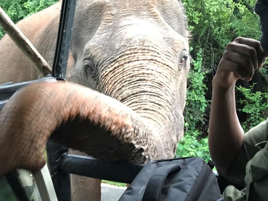 Safari, Yala National Park, Sri Lanka 9